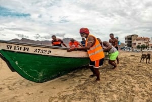 Mindelo: Sea Turtles experience