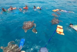 Mindelo: Sea Turtles experience