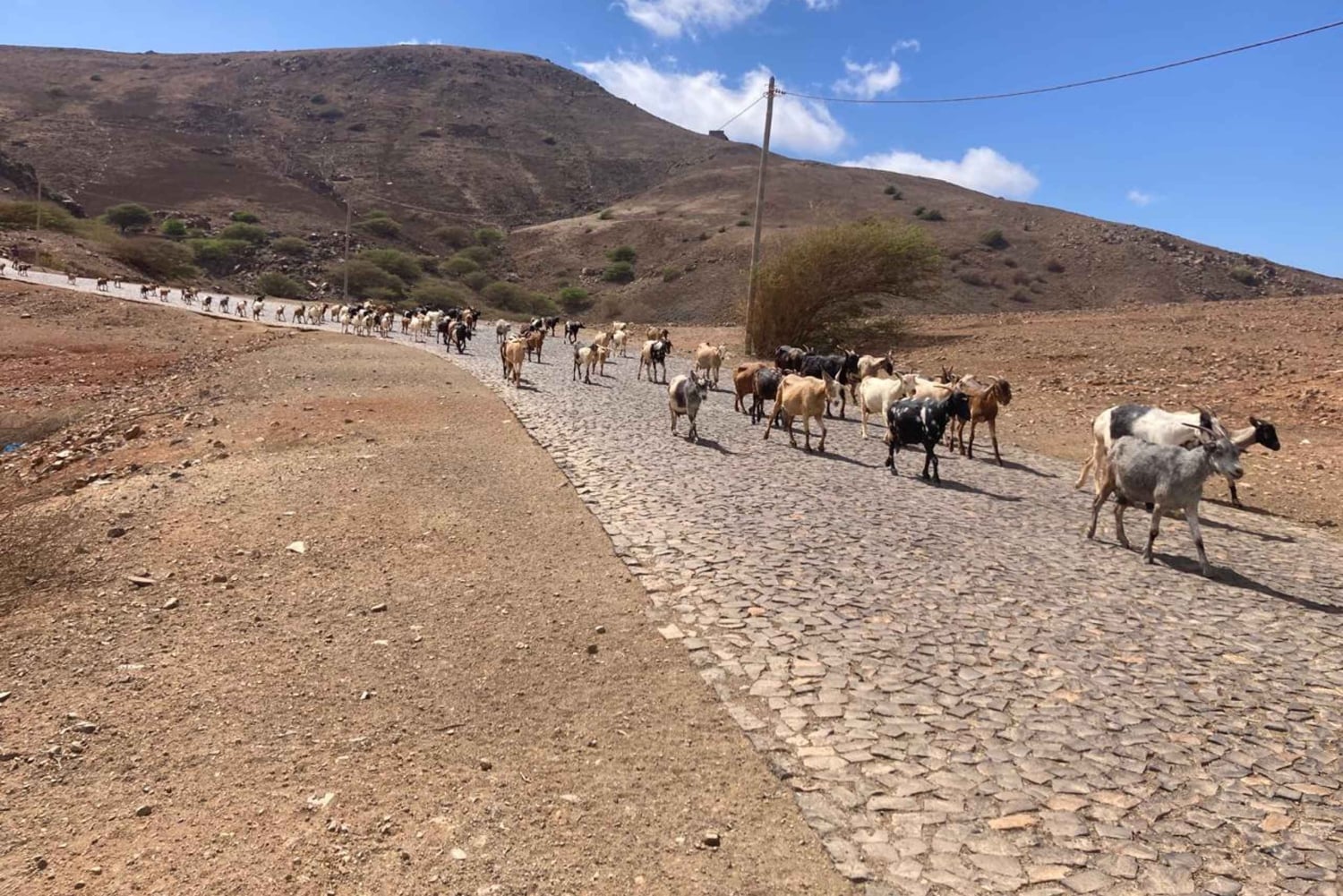 Монте-Верде на автомобиле и чайная – самая высокая точка Сан-Висенте