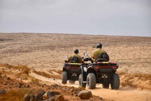 North of Boa Vista Quad Adventure: Shipwreck & Viana Desert