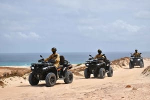 North of Boa Vista Quad Adventure: Shipwreck & Viana Desert