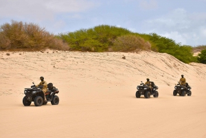 North of Boa Vista Quad Adventure: Shipwreck & Viana Desert