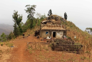 Panoramisk tur: Den skjulte Gongon-dalen og lokal opplevelse
