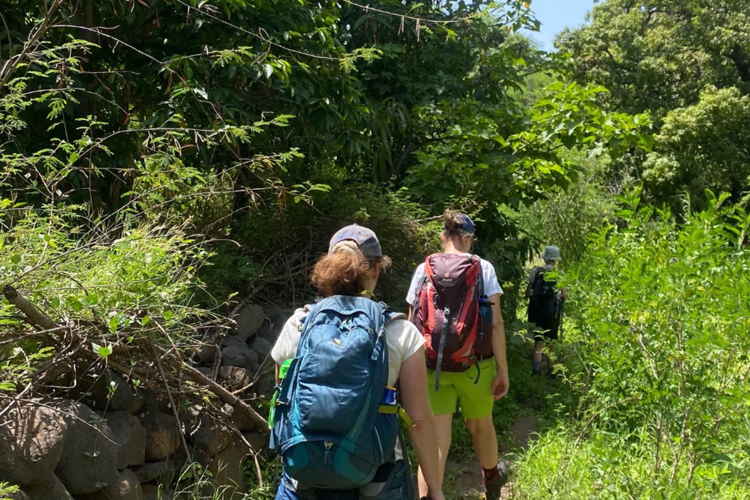 Praia: spacer z Calabaceira do Cidade Velha, przerwa na kawę i degustacja rumu