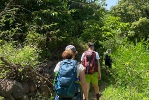 Praia: Calabaceira to Cidade Velha Walk, Coffee Break, and Rum Tasting