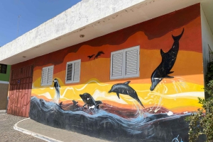 Praia : visite de la ville avec un guide local. Musées, marchés et histoires