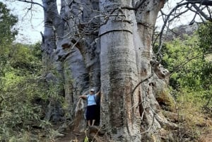 Praia: Guided Nature Hike to Cidade Velha