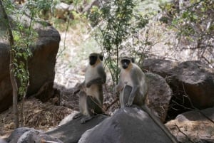 Praia: Guided Nature Hike to Cidade Velha