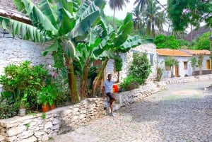 برايا: جولة في منتزه جزيرة سانتياغو الطبيعي ومتحف المقاومة