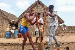 برايا: جولة في منتزه جزيرة سانتياغو الطبيعي ومتحف المقاومة