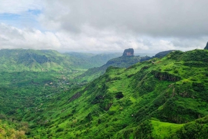 برايا: رحلة روي فاز ولونجويرا والحديقة النباتية