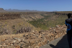 Private Tour Cidade Velha/Entdecke die Altstadt