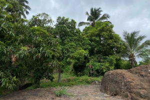 Private Tour Cidade Velha/Entdecke die Altstadt