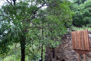 Private Tour Cidade Velha/Entdecke die Altstadt