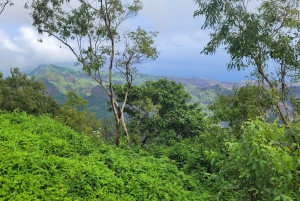 Prywatna wycieczka: poznaj wyspę Santiago