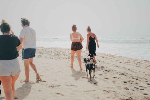 Prywatna wycieczka: poznaj wyspę Santiago