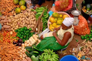 Prywatna wycieczka: poznaj wyspę Santiago