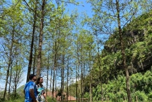 جولة خاصة في سانتياغو - اكتشف الجزيرة