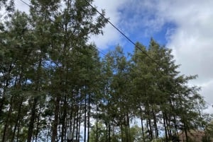 جولة خاصة في سانتياغو - اكتشف الجزيرة