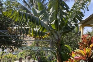 جولة خاصة في سانتياغو - اكتشف الجزيرة