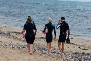 Reef snorkeling in Gatas Bay