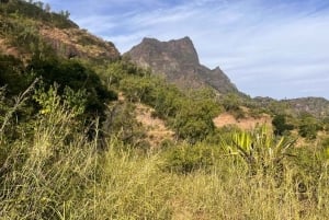 Randonnée panoramique à Rui Vaz et arrêt au jardin botanique