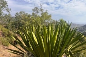 Randonnée panoramique à Rui Vaz et arrêt au jardin botanique