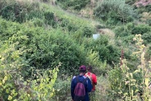 Randonnée panoramique à Rui Vaz et arrêt au jardin botanique