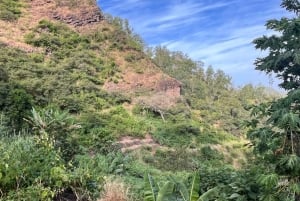Randonnée panoramique à Rui Vaz et arrêt au jardin botanique