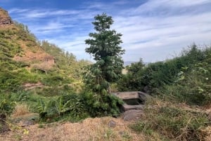 Randonnée panoramique à Rui Vaz et arrêt au jardin botanique
