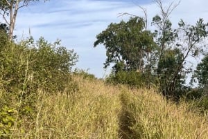 Randonnée panoramique à Rui Vaz et arrêt au jardin botanique