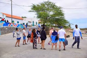 Isla de Sal: Los secretos de un guía nativo Excursión de un día con almuerzo