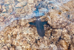 Sal: All inclusive Salzsee, Naturpools und Haifischbucht