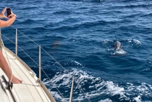 Sal, Cape Verde: Half day on Cuba Libre sailing yacht