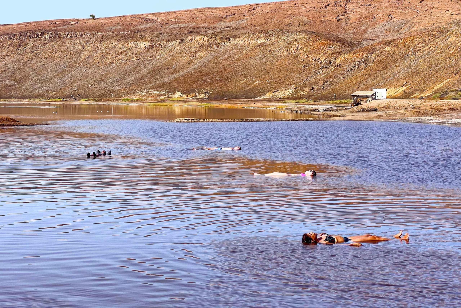 اكتشاف سال: جولة إرشادية في جزيرة مجموعة صغيرة