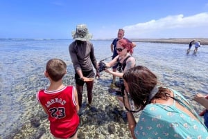 Descubrimiento de Sal: Excursión guiada en grupo reducido por la isla