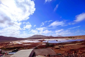 اكتشاف سال: جولة إرشادية في جزيرة مجموعة صغيرة