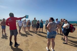 Sal: Puolen päivän kiertoajelu saarella