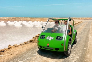 Sal Island: 2 Hour Guided Excursion on a Talking Car