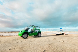 Sal Island: 2 Hour Guided Excursion on a Talking Car