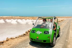 Sal Island: 2 Hour Guided Excursion on a Talking Car