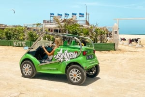 Sal Island: 2 Hour Guided Excursion on a Talking Car