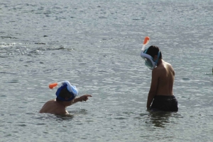 Wyspa Sal: ekologiczne nurkowanie z rafą, żółwiami i wrakiem statku