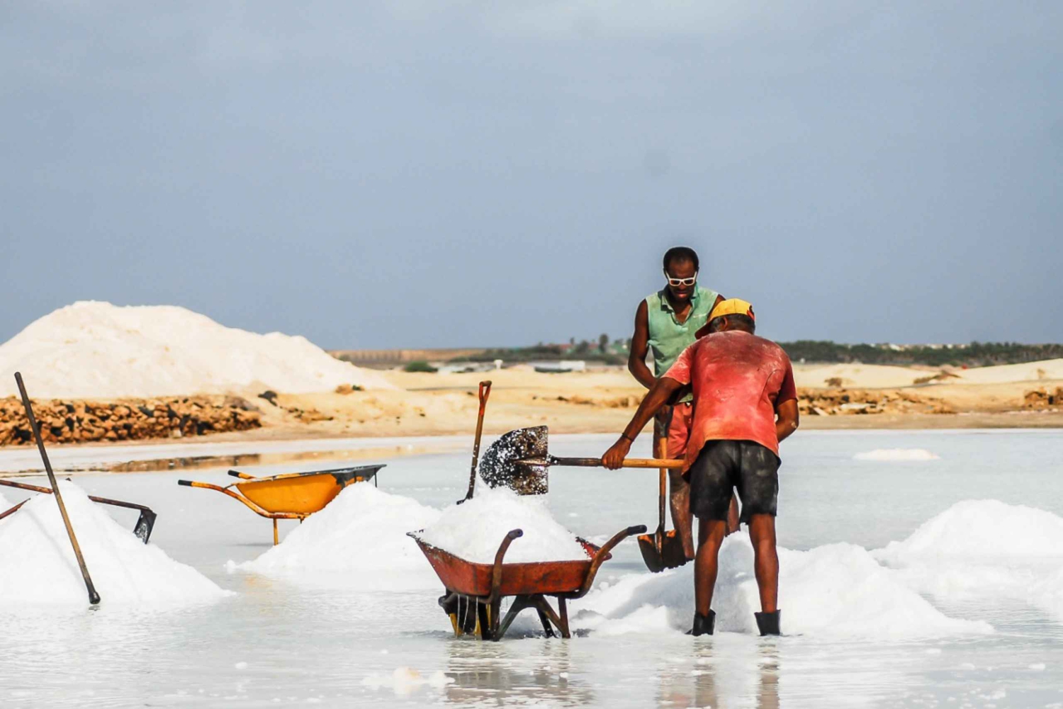 サル島：ガイド付き歴史文化ツアー