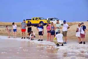 サル島：ガイド付き歴史文化ツアー