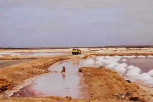 サル島：ガイド付き歴史文化ツアー