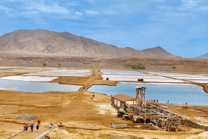 Sal Island: Guided Tour