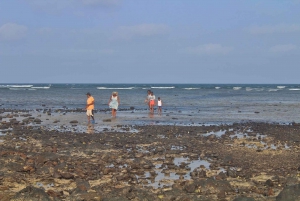 Øen Sal: Citronhajobservation og tur til saltsøen