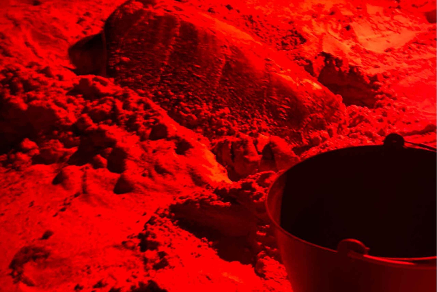 Privat omvisning på Sal Island for å se på skilpadder i naturlig habitat