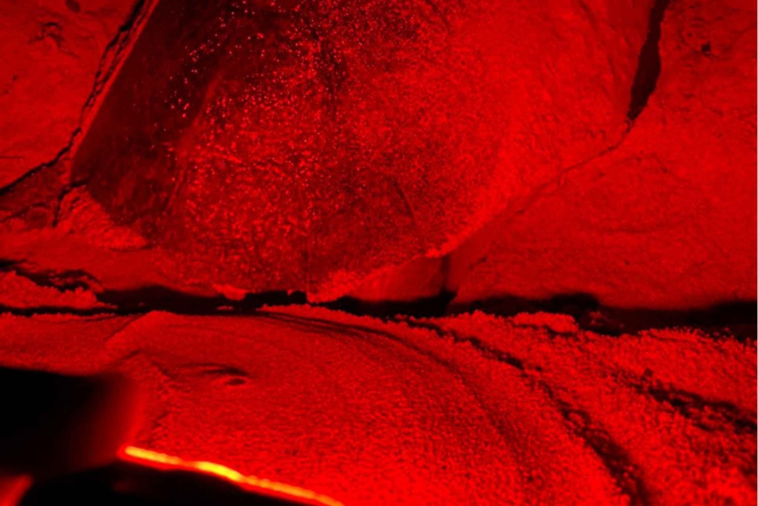 Privat omvisning på Sal Island for å se på skilpadder i naturlig habitat